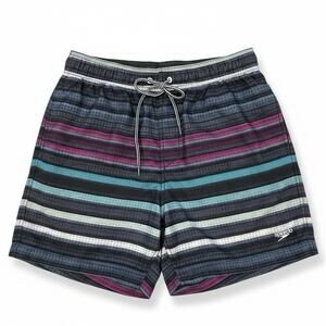 SPEEDO Men's SWIM TRUNKS Multicolor STRIPED Size Medium